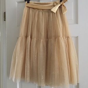 Glittery Tutu Midi Skirt